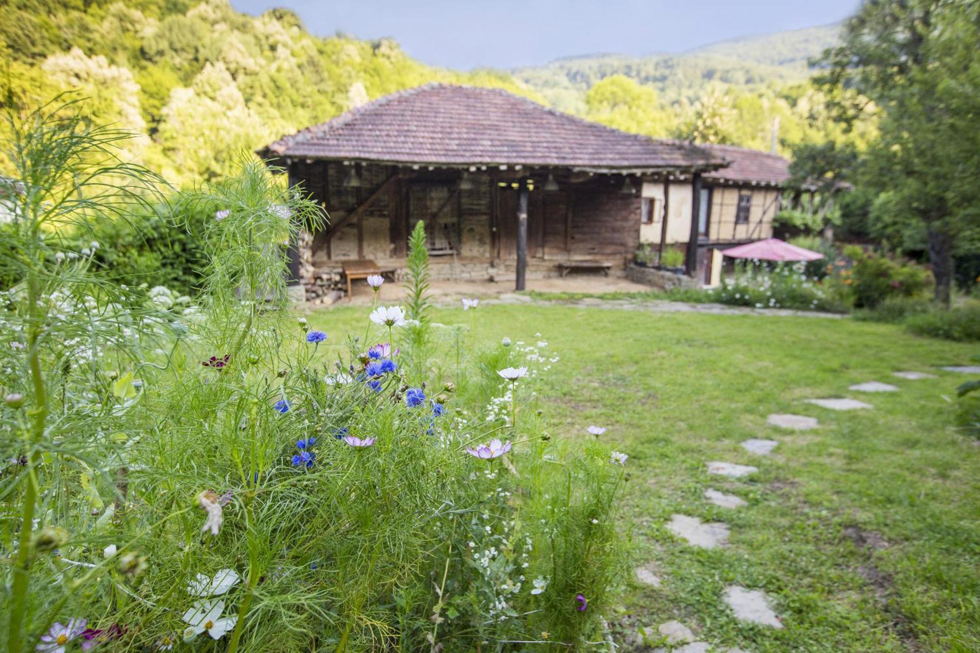 Little River Guest House Γκάμπροβο Εξωτερικό φωτογραφία