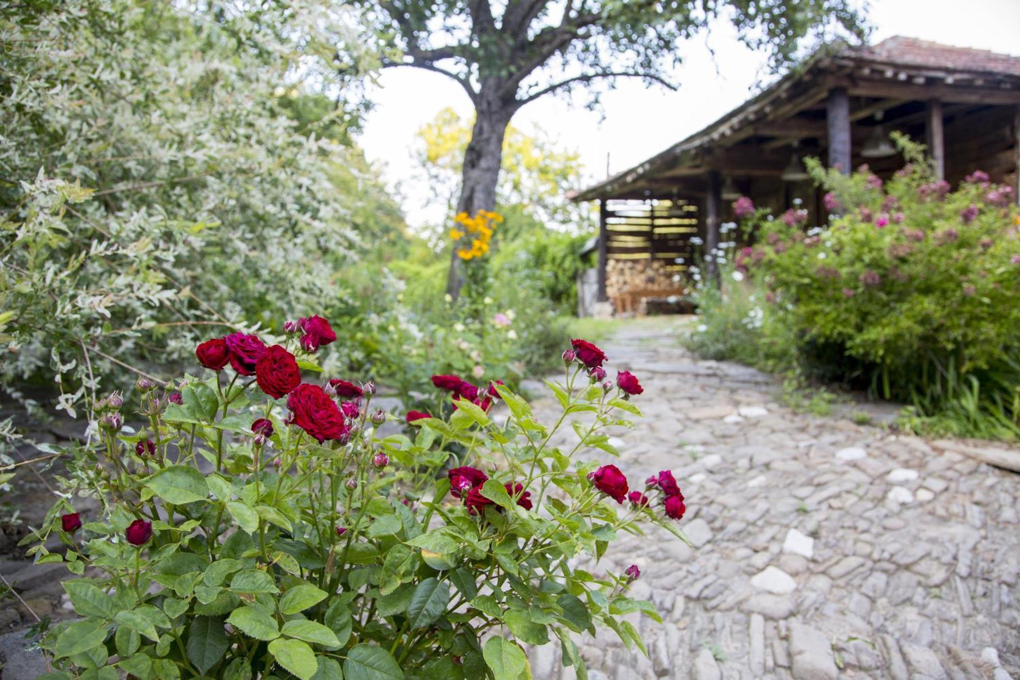 Little River Guest House Γκάμπροβο Εξωτερικό φωτογραφία